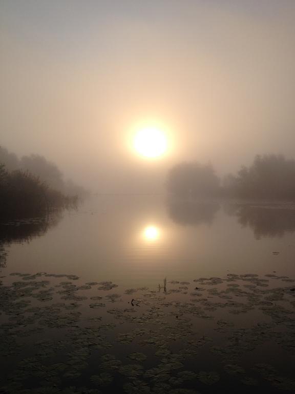 Studio Lakeside Spiegelplas Nederhorst den Berg 객실 사진